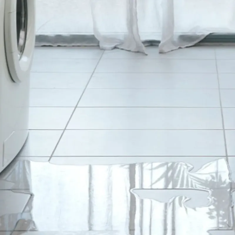 Appliance Leak Cleanup in Chatsworth, GA