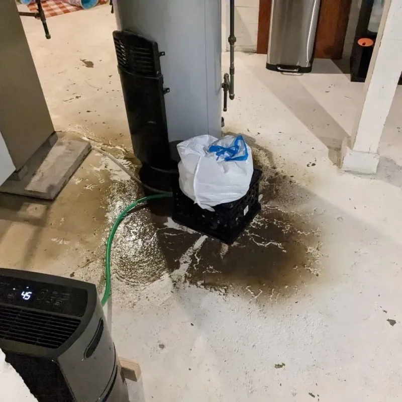 Sewage Backup Cleanup Service in Chatsworth, GA